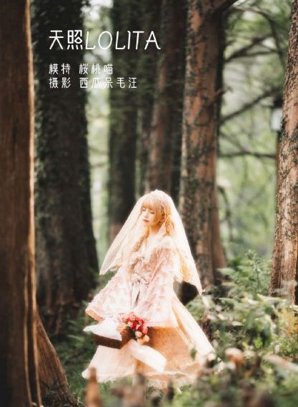 老司机视频福利_DVD在线播放